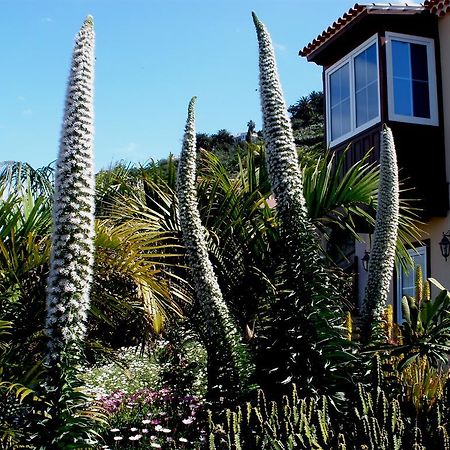 Apartamento Mar Y Teide サウサル 部屋 写真