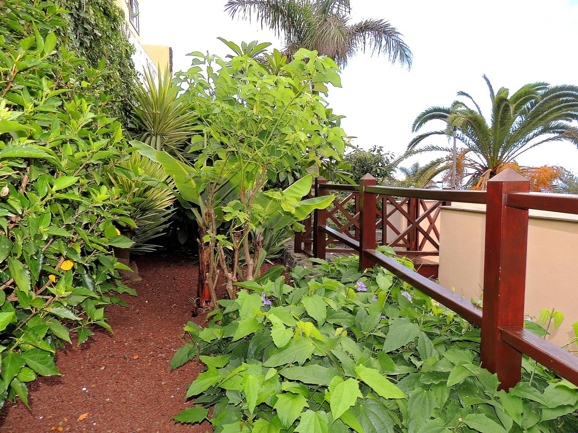 Apartamento Mar Y Teide サウサル エクステリア 写真